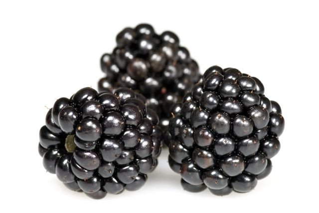 blackberries-jpg.jpg