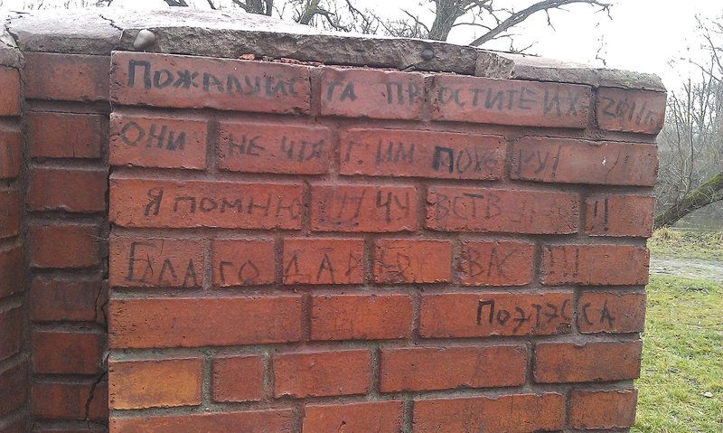 IMAG0160_1.jpg (499.28 Кб) Просмотров: 19892 IMAG0160_1.jpg