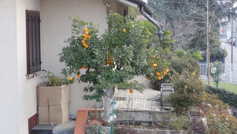 DSC01934.JPG (1.7 Мб) Просмотров: 29188 DSC01934.JPG