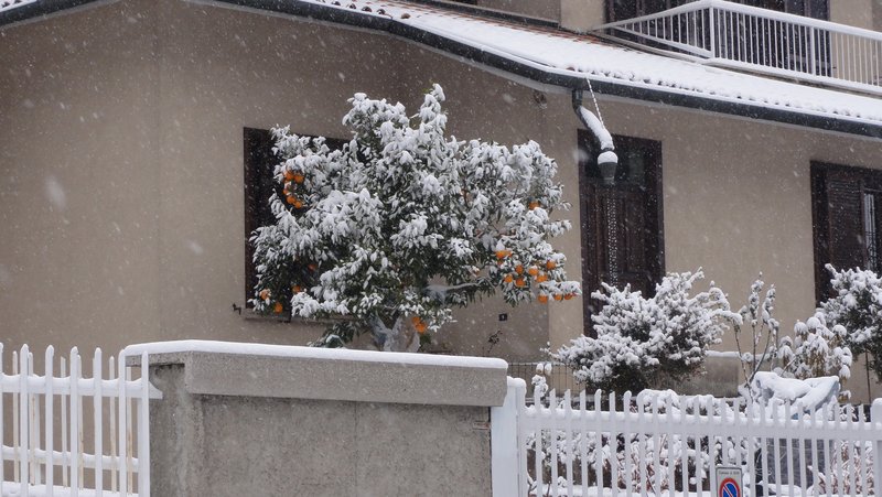 DSC01980.JPG (1.61 Мб) Просмотров: 29148 DSC01980.JPG