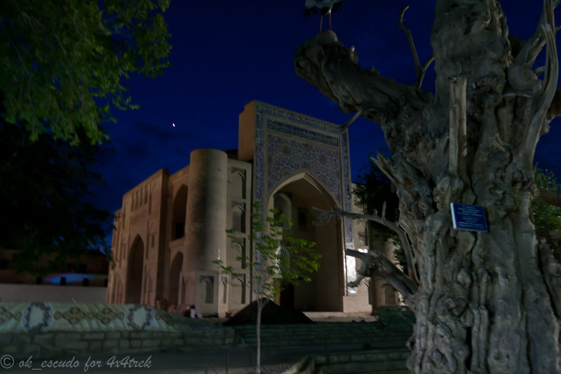 20120508-Uzbekistan4forum(IMG_7773).jpg