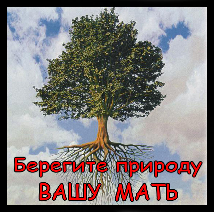  копия.jpg