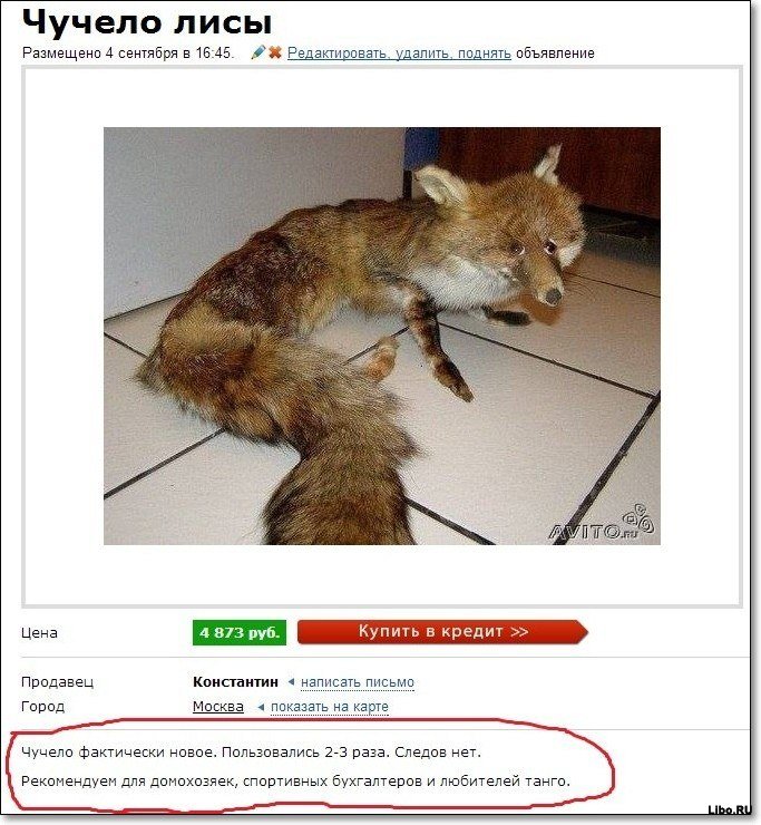 .jpg