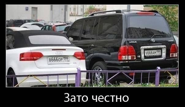 35949.jpg