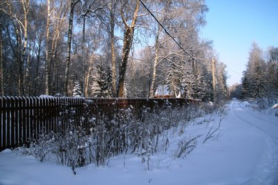 IMG_4215.JPG