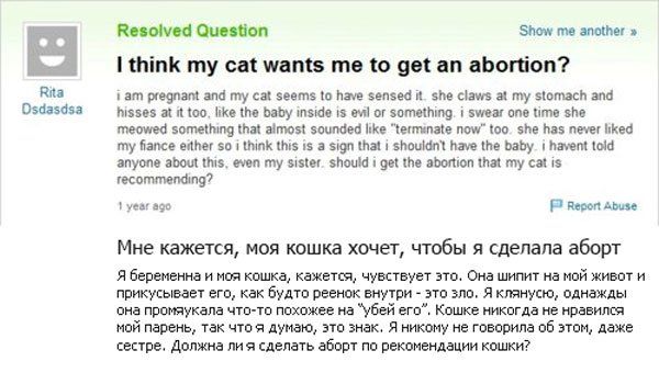  и кошка.jpg