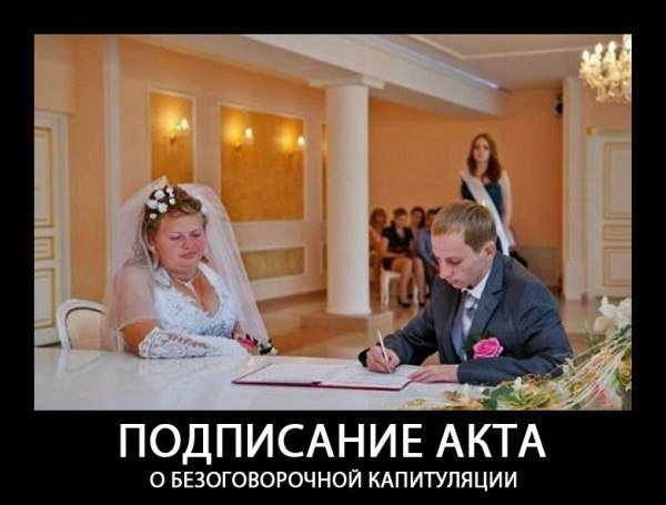 .jpg