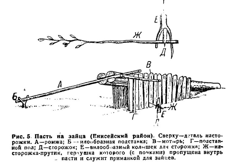kak-sdelat-samolov-na-zayca.jpg