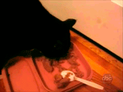 .gif