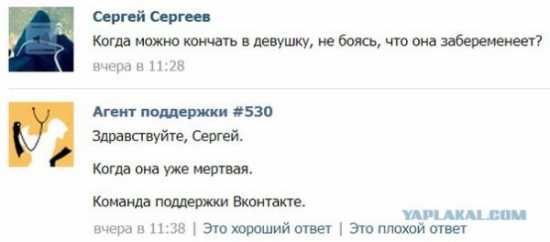 .jpg