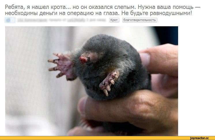  прозрел.jpeg