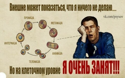  занят.jpg