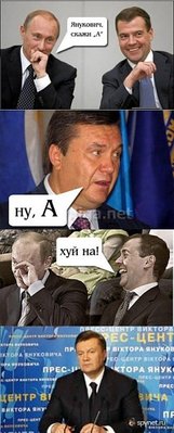 376775.jpg
