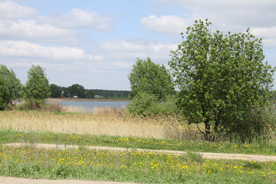IMG_9155.JPG