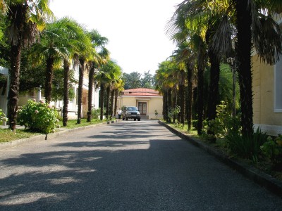 P7140368.jpg (761.95 Кб) Просмотров: 18381 P7140368.jpg