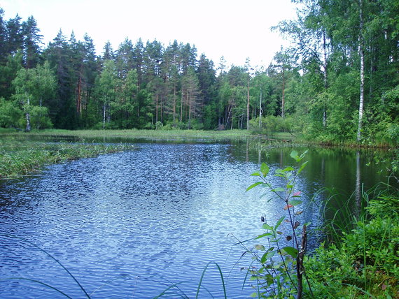 P7020174.JPG