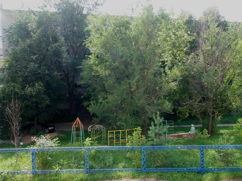 P8140769.jpg